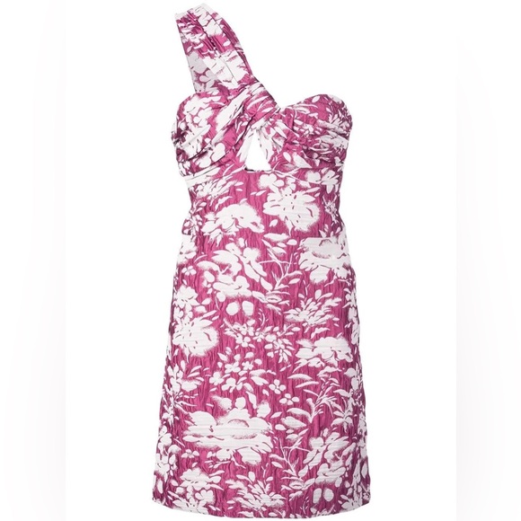 ALEXIS ~ Livie Dress - Picture 7 of 17